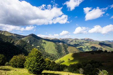 Summer landscape in the mountains of Navarra, Pyrenees, northern Spain