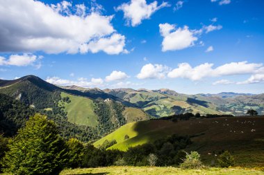 Summer landscape in the mountains of Navarra, Pyrenees, northern Spain