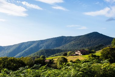 Summer landscape in the mountains of Navarra, Pyrenees, northern Spain