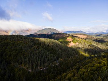 Navarra, Pyrenees, Kuzey İspanya 'da yaz manzarası.