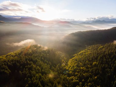 Navarra, Pyrenees, Kuzey İspanya 'da yaz manzarası.