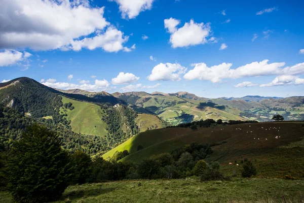 Summer landscape in the mountains of Navarra, Pyrenees, northern Spain