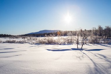Pallas Yllastunturi Ulusal Parkı, Laponya, Finlandiya 'da kış manzarası