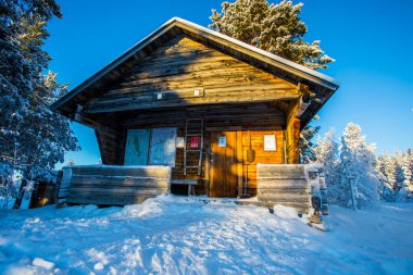 Pallas Yllastunturi Milli Parkı, Laponya, Finlandiya 'da kayak gezisi