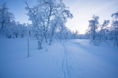 Winter landscape in Pallas Yllastunturi National Park, Lapland, northern Finland.