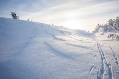 Winter landscape in Pallas Yllastunturi National Park, Lapland, northern Finland.