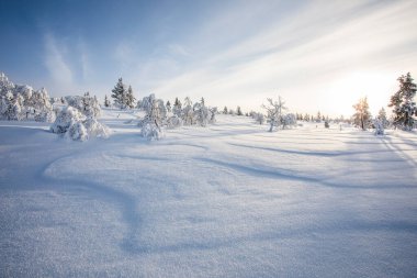 Pallas Yllastunturi Ulusal Parkı, Laponya, Finlandiya 'da kış manzarası