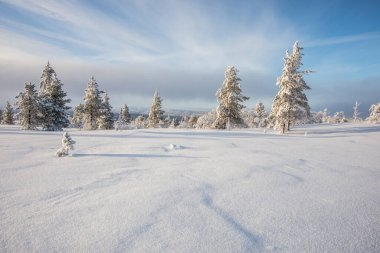 Winter landscape in Pallas Yllastunturi National Park, Lapland, northern Finland.