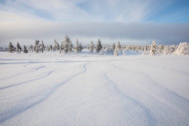 Winter landscape in Pallas Yllastunturi National Park, Lapland, northern Finland.