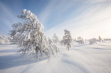 Winter landscape in Pallas Yllastunturi National Park, Lapland, northern Finland.