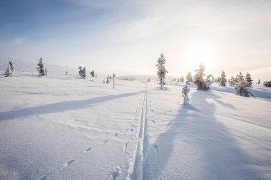 Pallas Yllastunturi Ulusal Parkı, Laponya, Finlandiya 'da kış manzarası