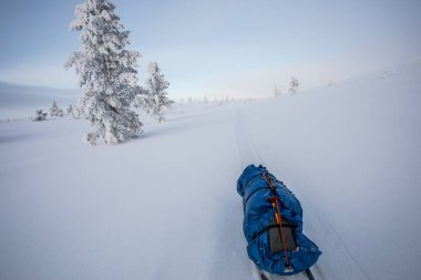 Ski expedition in Pallas Yllastunturi National Park, Lapland, northern Finland.