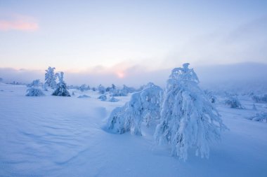 Winter landscape in Pallas Yllastunturi National Park, Lapland, northern Finland.