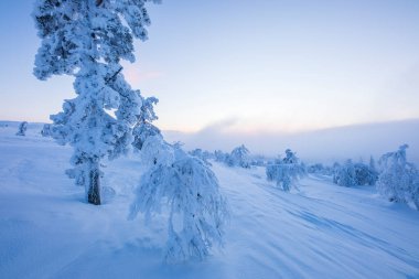 Winter landscape in Pallas Yllastunturi National Park, Lapland, northern Finland.