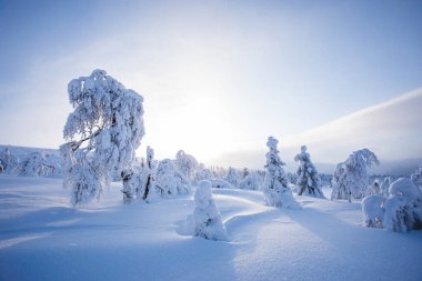 Winter landscape in Pallas Yllastunturi National Park, Lapland, northern Finland.