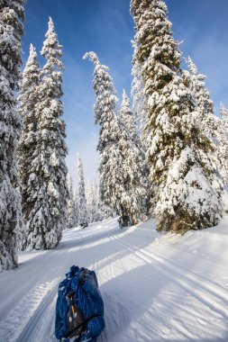 Ski expedition in Pallas Yllastunturi National Park, Lapland, northern Finland.