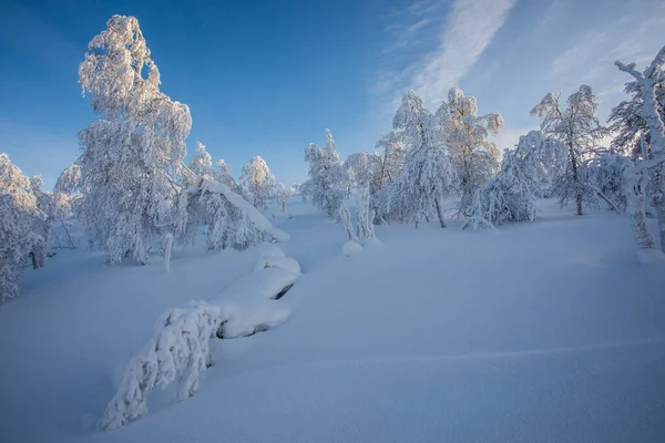 Winter landscape in Pallas Yllastunturi National Park, Lapland, northern Finland.