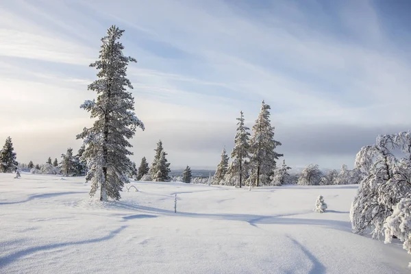 Winter landscape in Pallas Yllastunturi National Park, Lapland, northern Finland.