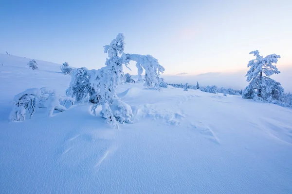 Winter Landscape Pallas Yllastunturi National Park Lapland Finland — Photo