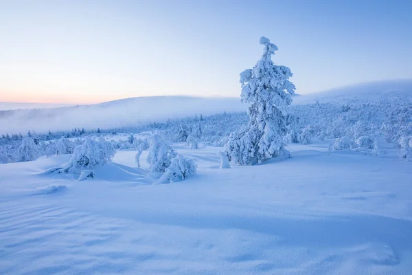 Winter Landscape Pallas Yllastunturi National Park Lapland Northern Finland — Photo