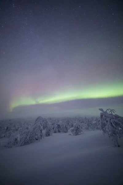 Northern Lights Pallas Yllastunturi National Park Lapland Northern Finland — Zdjęcie stockowe