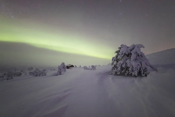 Northern Lights Pallas Yllastunturi National Park Lapland Northern Finland — Fotografia de Stock