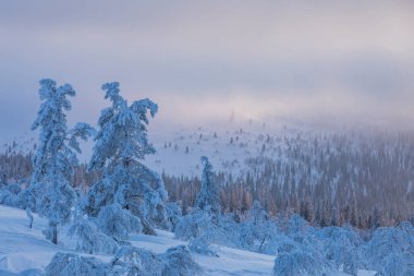 Winter landscape in Pallas Yllastunturi National Park, Lapland, northern Finland.