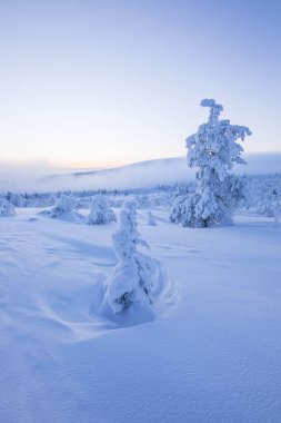 Winter landscape in Pallas Yllastunturi National Park, Lapland, northern Finland.