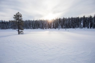 Winter landscape in Pallas Yllastunturi National Park, Lapland, northern Finland.