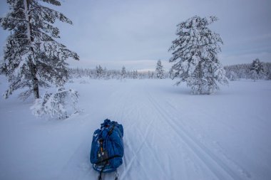 Pallas Yllastunturi Milli Parkı, Laponya, Finlandiya 'da kayak gezisi