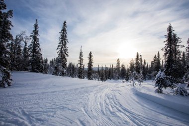 Ski expedition in Pallas Yllastunturi National Park, Lapland, northern Finland.