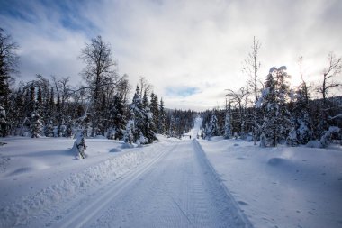 Ski expedition in Pallas Yllastunturi National Park, Lapland, northern Finland.