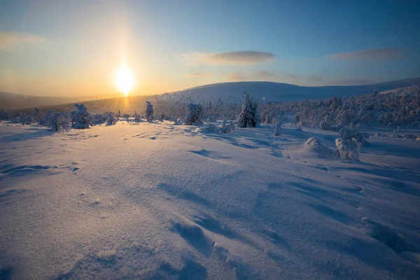 Winter sunset in Pallas Yllastunturi National Park, Lapland, northern Finland.