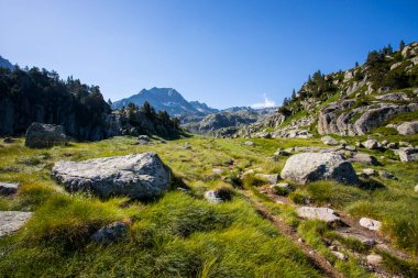 Summer landscape in Aiguestortes and Sant Maurici National Park, Pyrenees, Spain