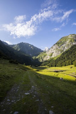 Summer in Uelhs Deth Joeu waterfall, Val D Aran, Pyrenees, Spain