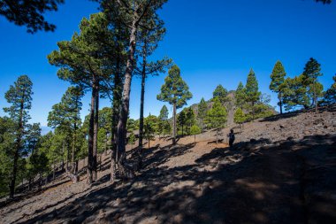 Young woman summit to Bejenado Peak in Caldera De Taburiente, La Palma, Canary Islands, Spain