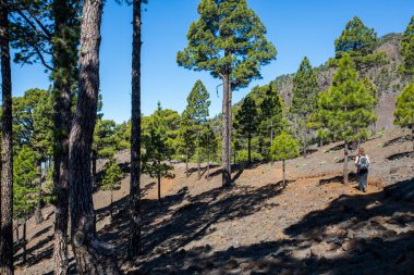 Young woman summit to Bejenado Peak in Caldera De Taburiente, La Palma, Canary Islands, Spain