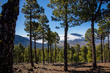 Landscaoe in Bejenado Peak in Caldera De Taburiente, La Palma, Canary Islands, Spain
