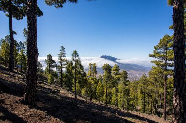 Landscaoe in Bejenado Peak in Caldera De Taburiente, La Palma, Canary Islands, Spain