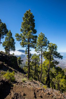 Landscaoe in Bejenado Peak in Caldera De Taburiente, La Palma, Canary Islands, Spain