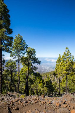 Landscaoe in Bejenado Peak in Caldera De Taburiente, La Palma, Canary Islands, Spain
