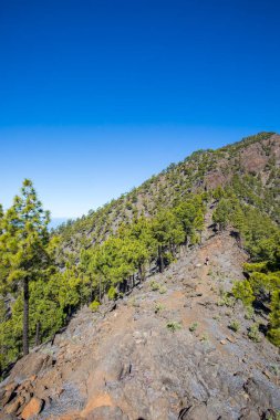 Landscaoe in Bejenado Peak in Caldera De Taburiente, La Palma, Canary Islands, Spain