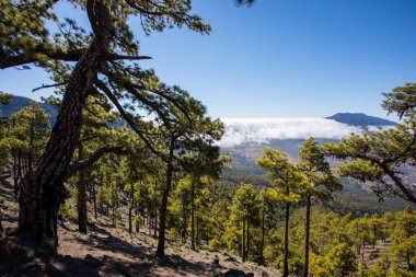 Landscaoe in Bejenado Peak in Caldera De Taburiente, La Palma, Canary Islands, Spain
