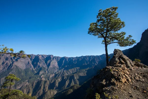 Ландшафт Befablado Peak Кальдера Табурьенте Пальма Канарские Острова Испания — стоковое фото