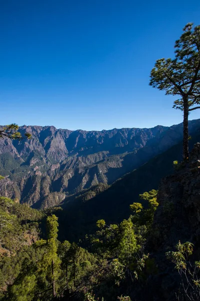 Landscaoe Bejenado Peak Caldera Taburiente Palma Ilhas Canárias Espanha — Fotografia de Stock