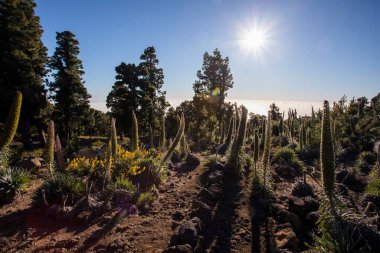 Sunset in Roque De Los Muchachos in Caldera De Taburiente, La Palma, Canary Islands, Spain