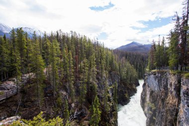 Summer in Sunwapta Falls, Jasper National Park in Canada