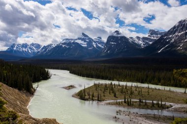 Summer landscape in Jasper National Park in Canada