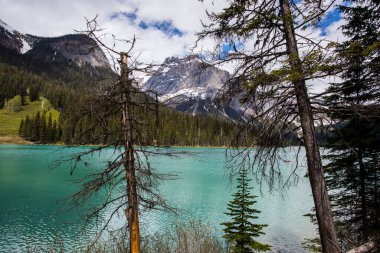 Summer landscape in Emerald lake, Yoho National Park in Canada.