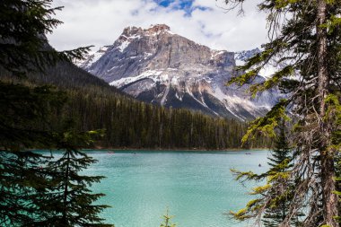 Summer landscape in Emerald lake, Yoho National Park in Canada.